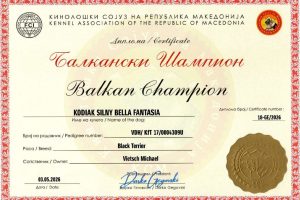 KODI Balkan Ch