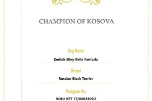 KODI Ch of Kosova
