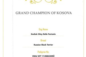 KODI Grand Ch of Kosova